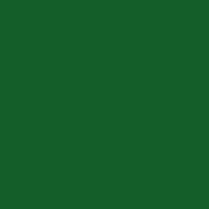 Alpine Forest Green